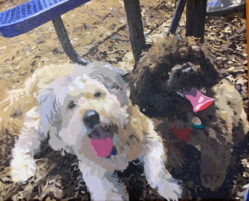 Customer photo review of Paint your photo