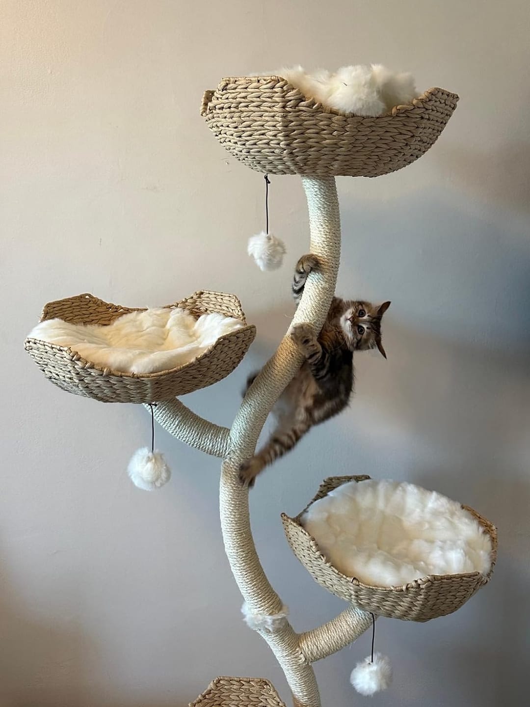 Customer photo review of MICHU Ivy Cat Tower Deluxe 4-Tier Designer Cat Tree