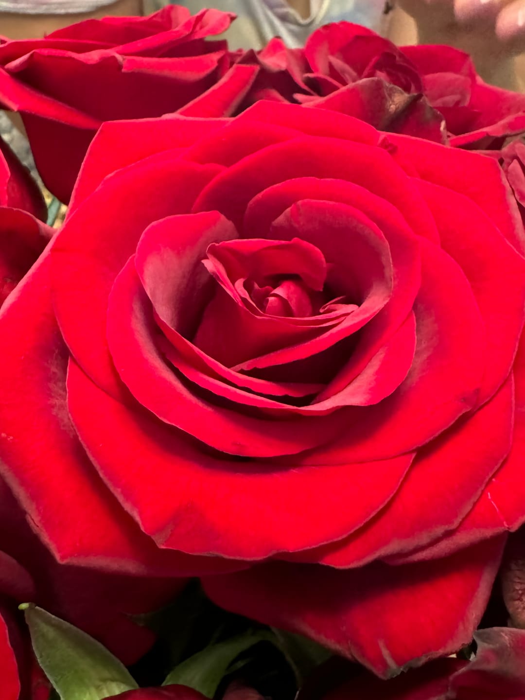 Customer photo review of Black Magic Red Rose