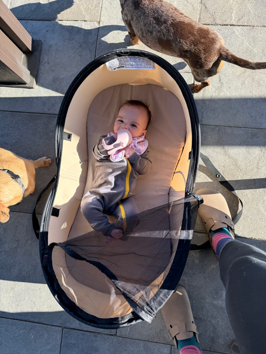 Customer photo review of baby adventure zippy