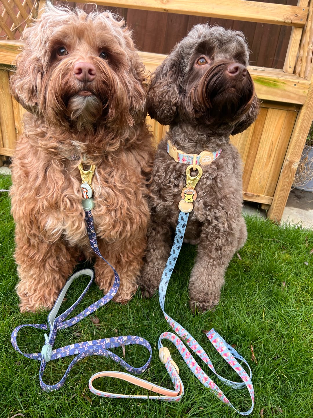 Customer photo review of Lead - Winnie + Friends