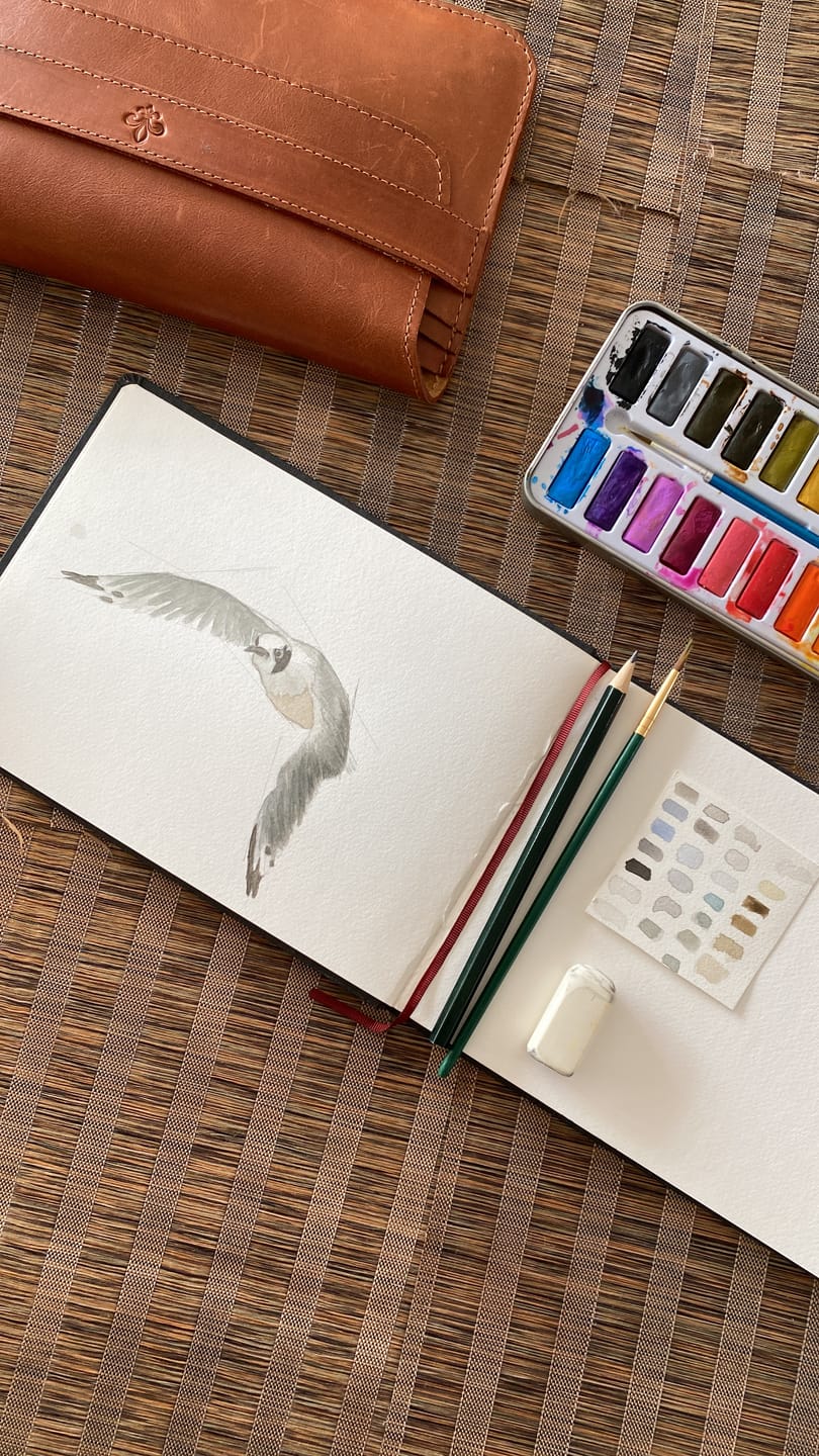 Customer photo review of Hahnemühle Watercolour Book - Sketchbook Horizontal 30 Hojas 200 g/m2