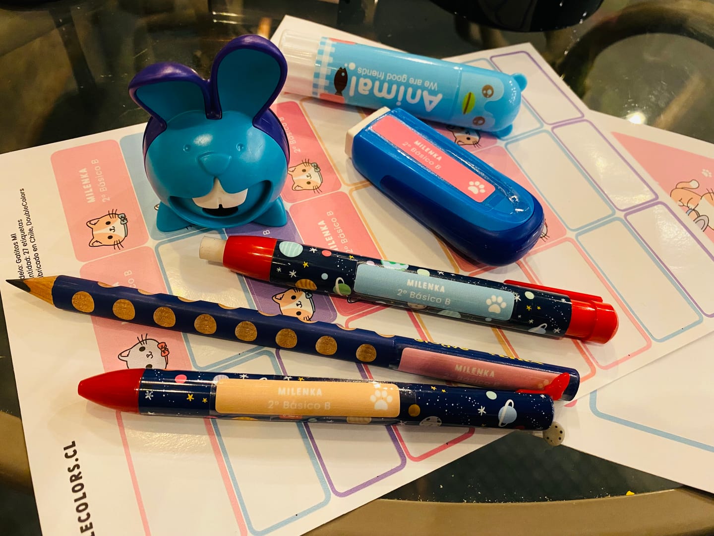 Customer photo review of Etiquetas escolares "Gatitos M1"