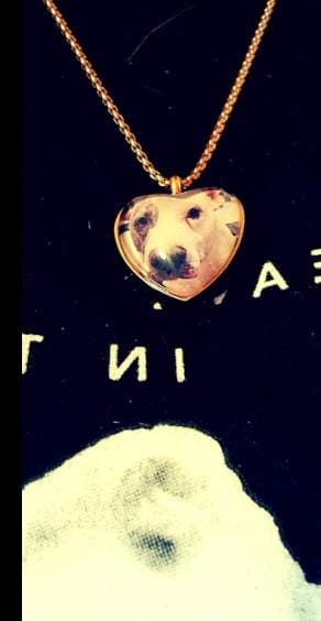 Customer photo review of Custom Heart Memorial Urn Necklaces