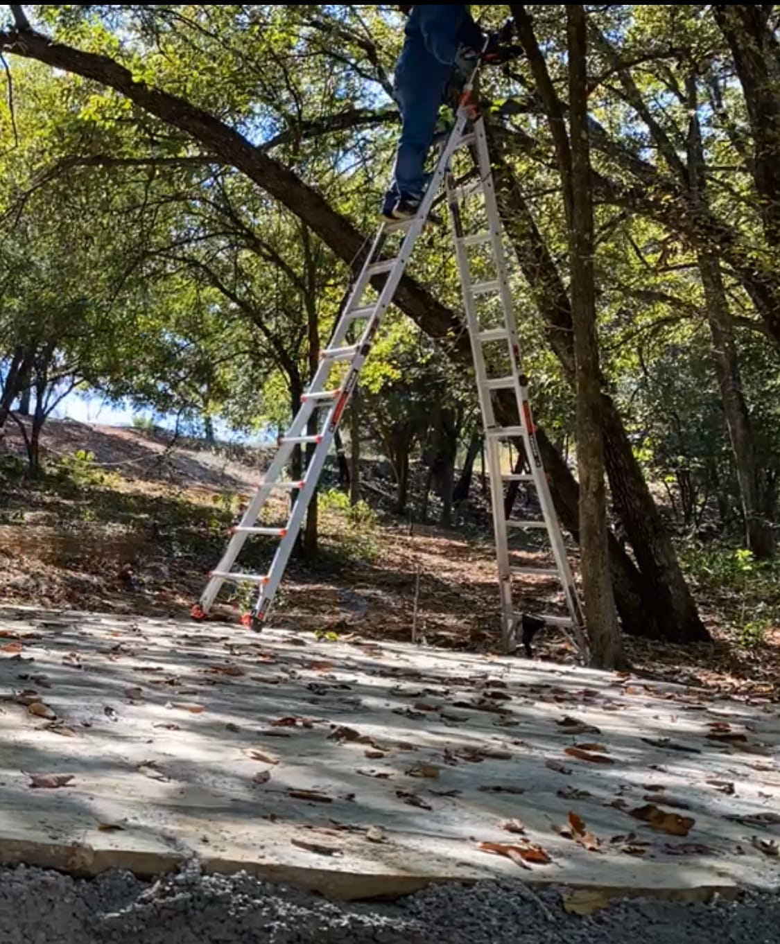 Customer photo review of Escalera de Aluminio Multiposición 26' Tipo IA Leveler Little Giant 16926-803 (Demo)