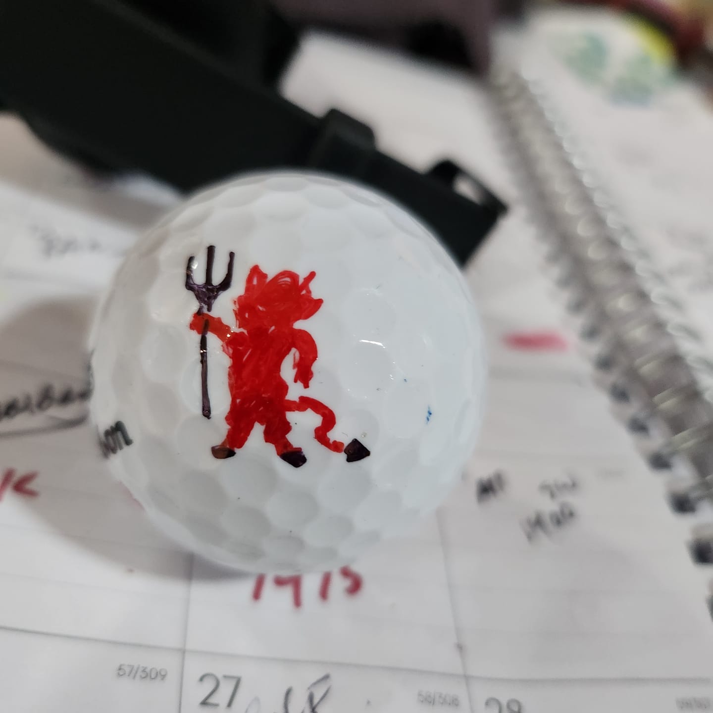 Customer photo review of Diablo