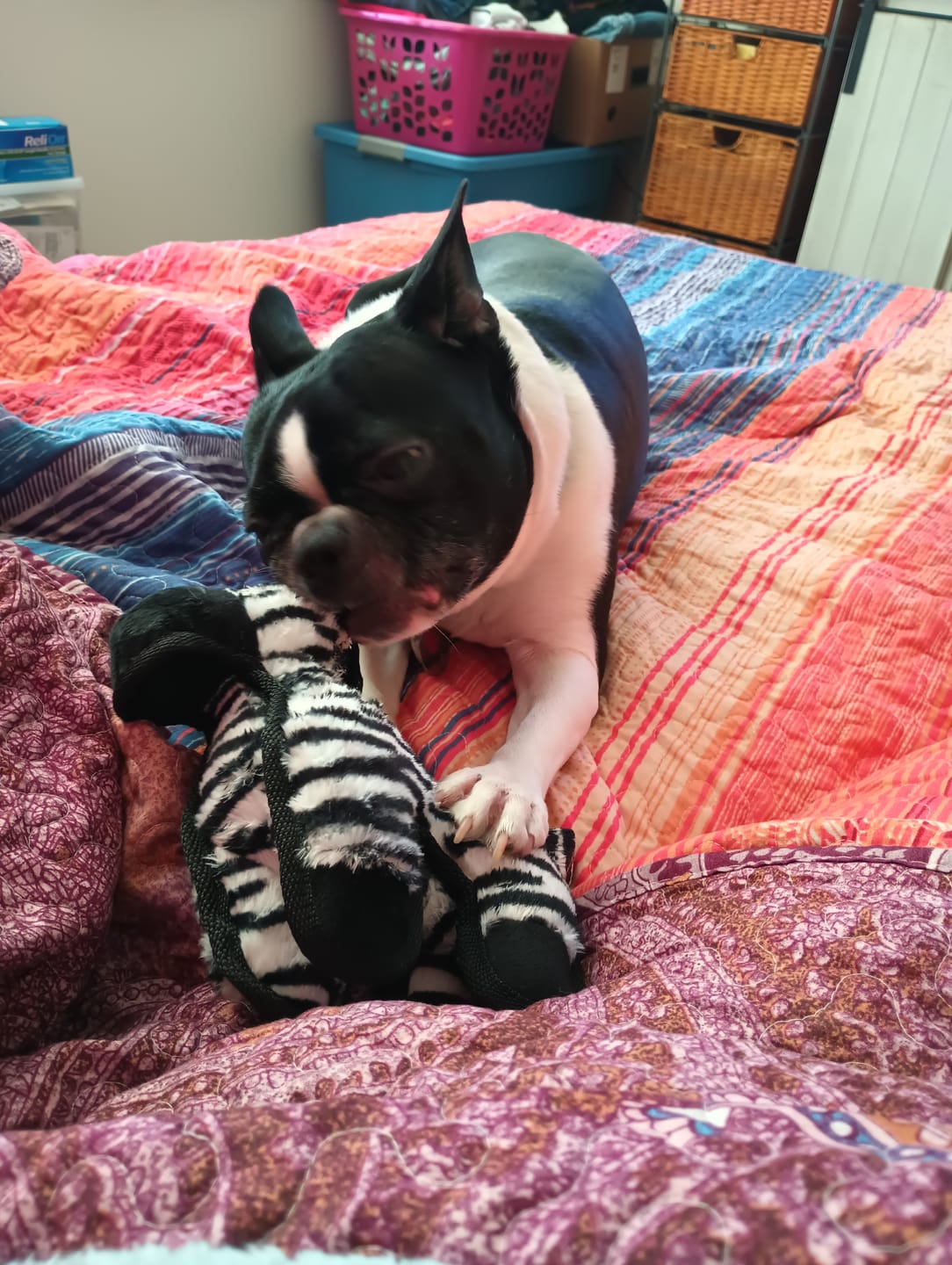 Customer photo review of Tough Plush - Triple Stitch
