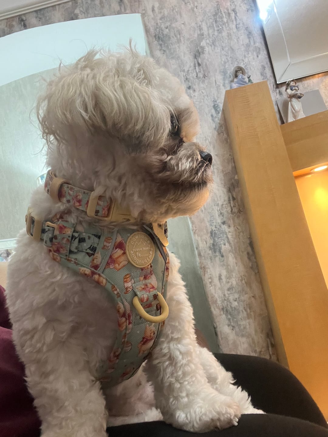 Customer photo review of Tough Trails™ Harness - Winnie The Pooh