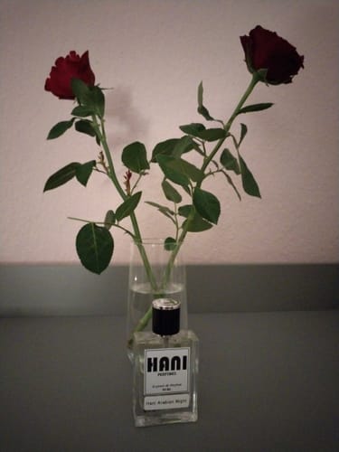Customer photo review of Hani Arabian Night