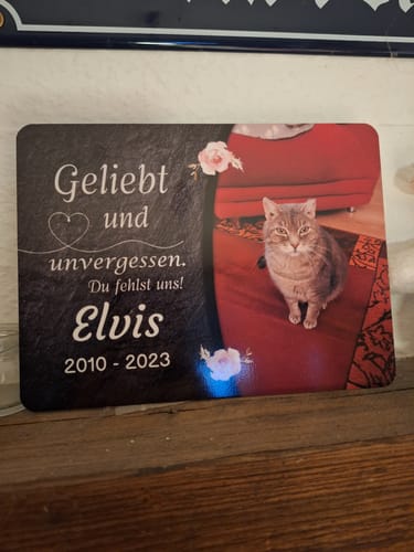 Customer photo review of Katzen Gedenktafel mit Foto & Spruch (UV- & Wetterfest)