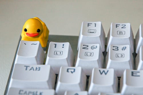 Customer photo review of Starter Bundle