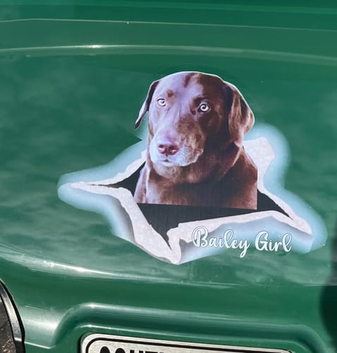 Customer photo review of Personalized Pet lover Crack Car Sticker