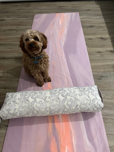 Customer photo review of Jyoti Pranayama Yoga Bolster