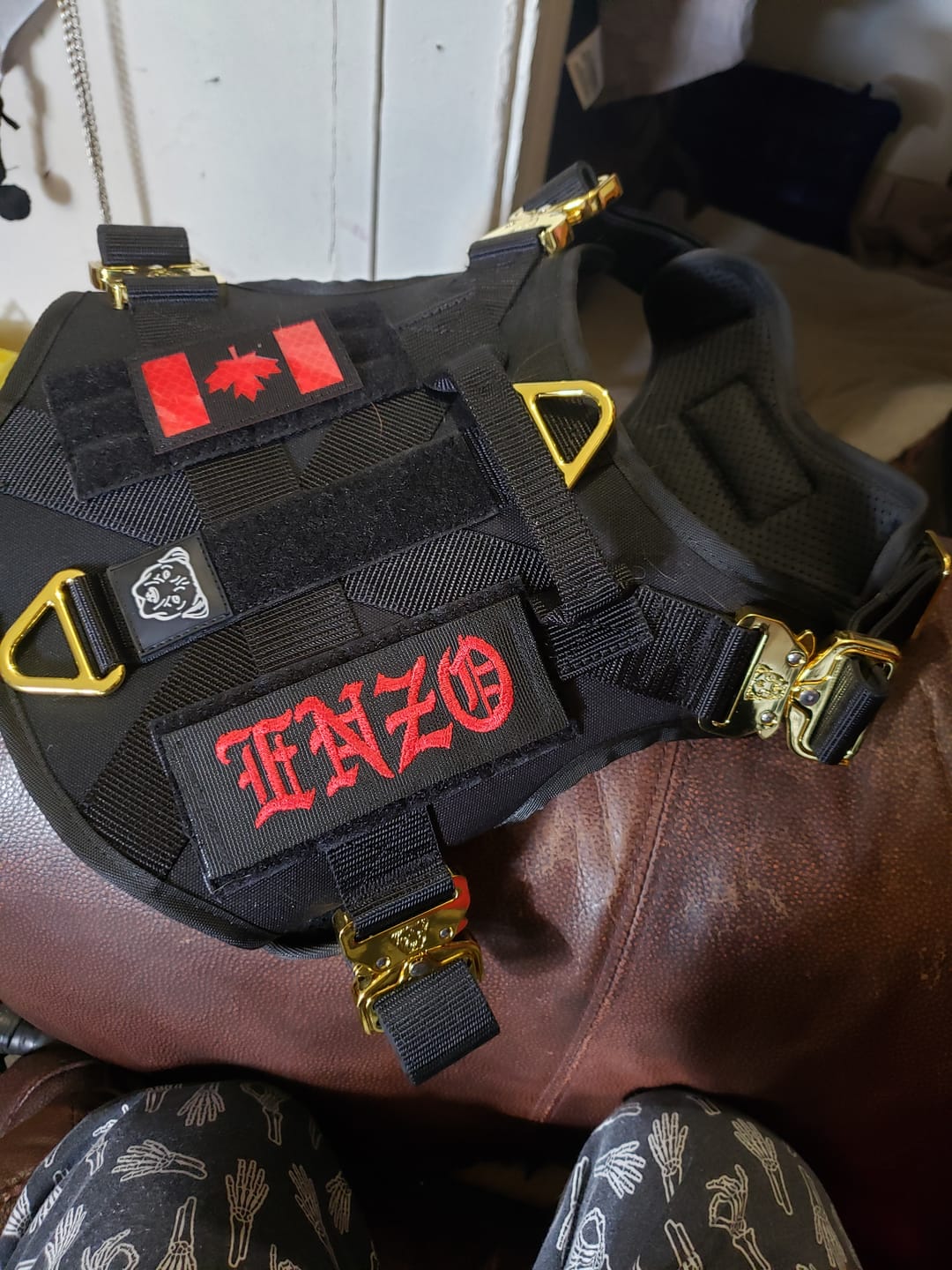 Customer photo review of HNTR 3.0 Dog Harness - Noir