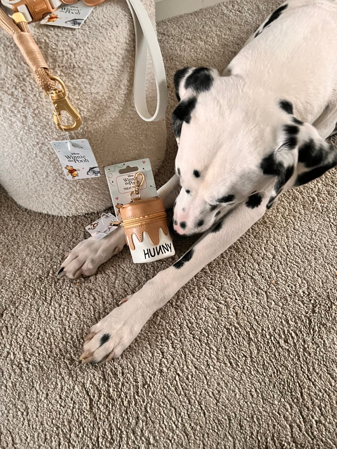Customer photo review of Treat Pouch - Hunny Pot
