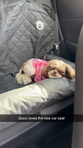 Customer photo review of Car Seat Cover