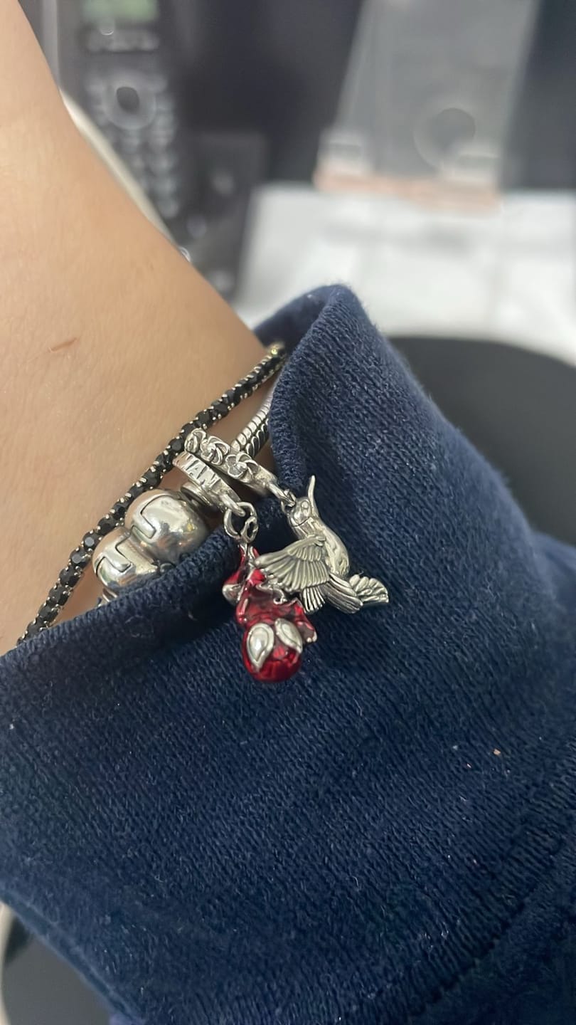 Customer photo review of Charm Colibri Mistico