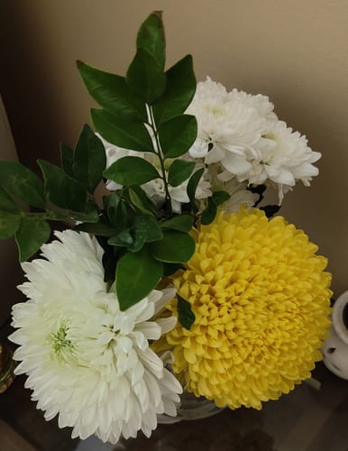 Customer photo review of Subscribe to Cut Flowers - DIY Assortment
