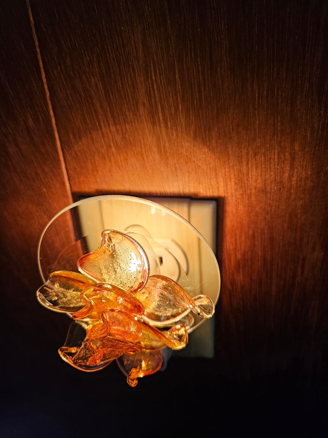 Customer photo review of Memorial Nightlight Flower with Cremation Ash