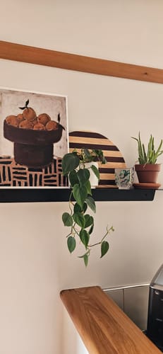 Customer photo review of FOLD Ledge 900