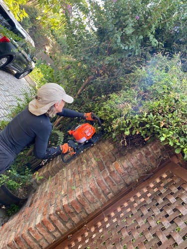 Customer photo review of Cortasetos van Beek vB60S - PRE VENTA