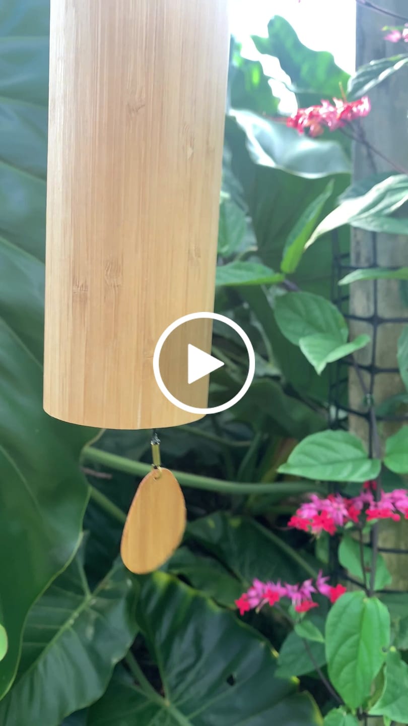 Customer video review of Koshi Wind Chimes 4 Elecments Aqua Terra Aria Ignis