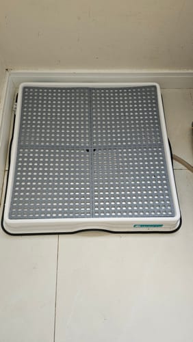 Customer photo review of Weasy Cão