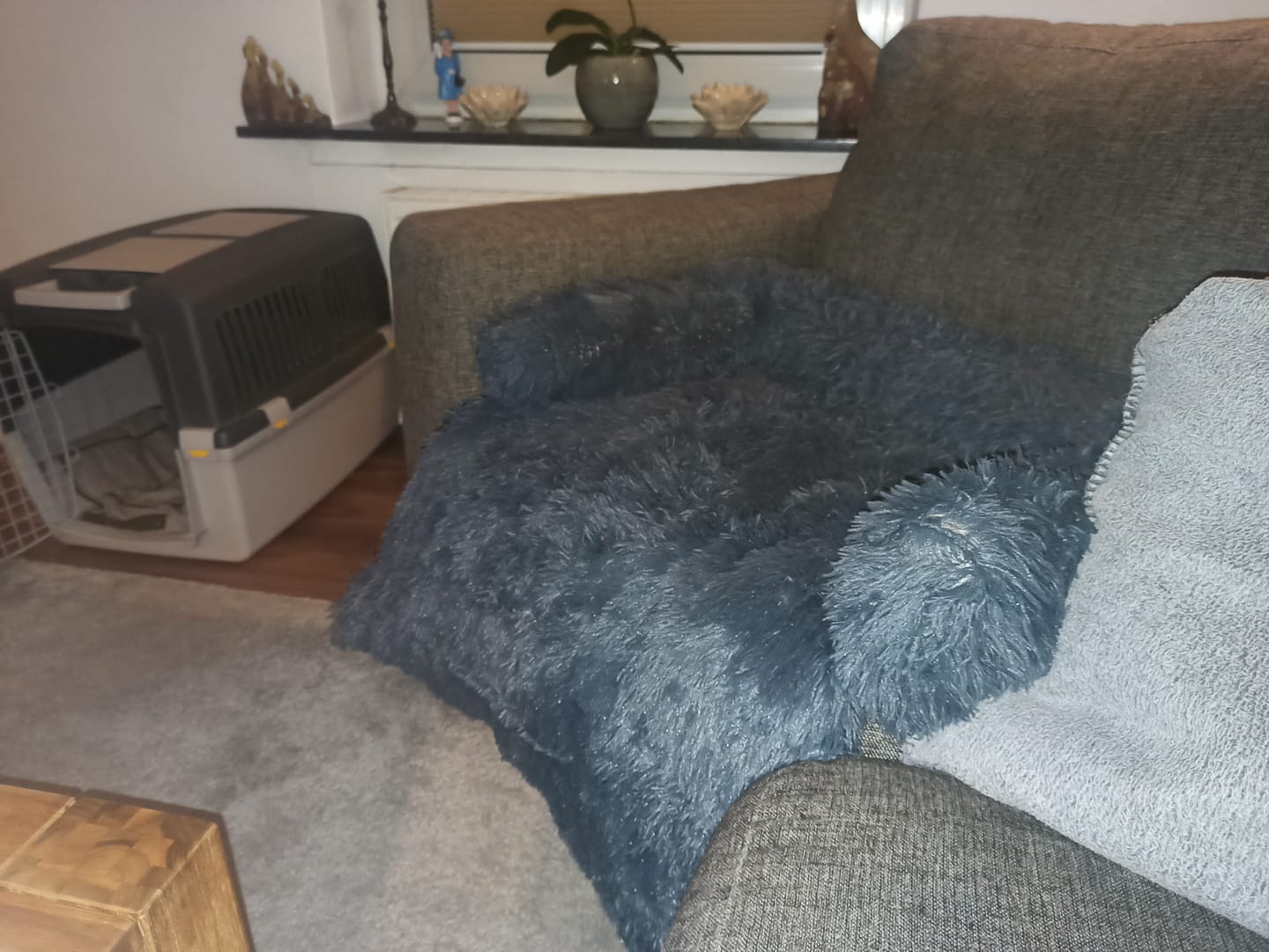 Customer photo review of *NEU* Emmalove - Flauschiges Hundebett für dein Sofa