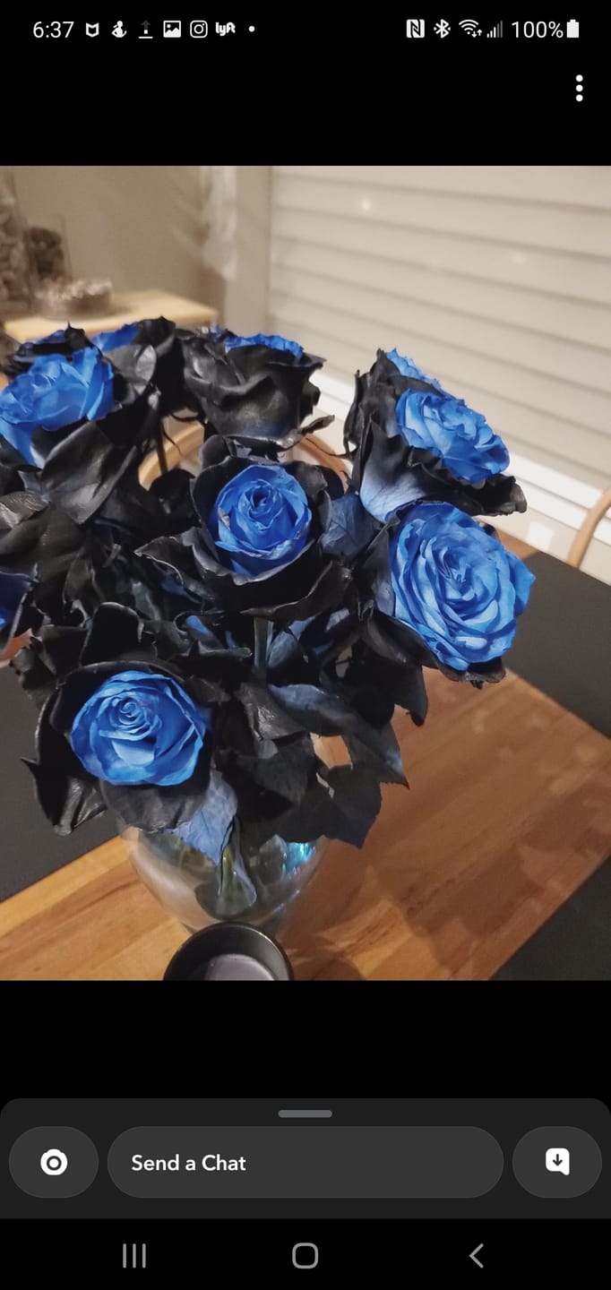 Customer photo review of Onyx Airbrushed Roses