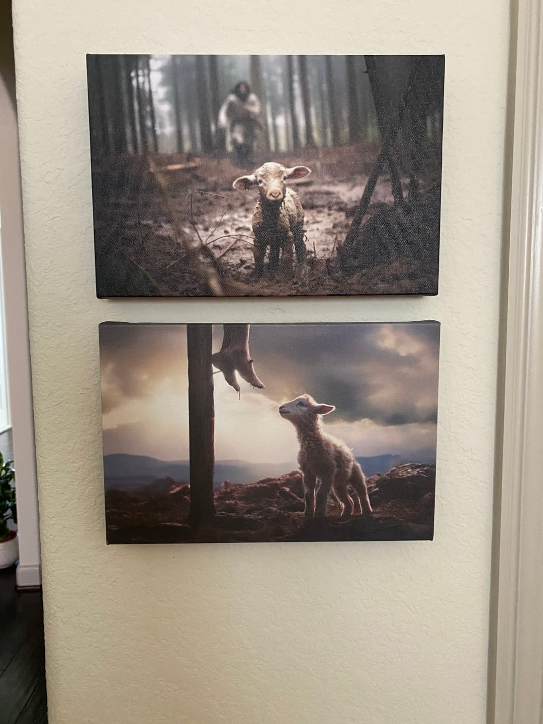 Customer photo review of Lamb Looking Up at Feet of Jesus Wall Art Canvas