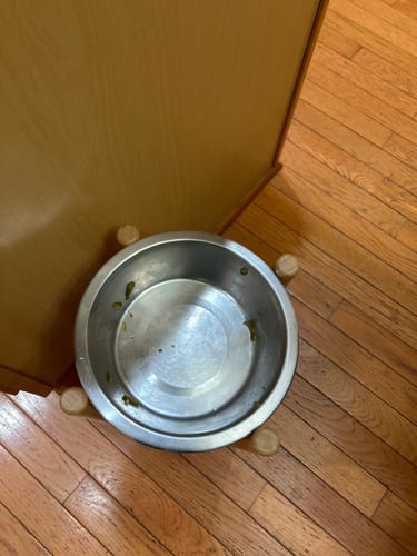 Customer photo review of Golden Gravy