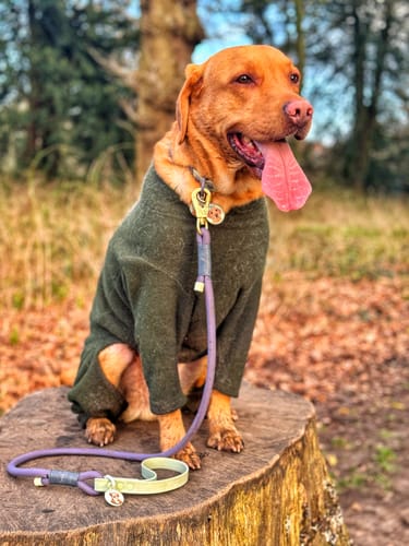 Customer photo review of 4ft Rope Lead - Winnie + Friends - Sage and Blue