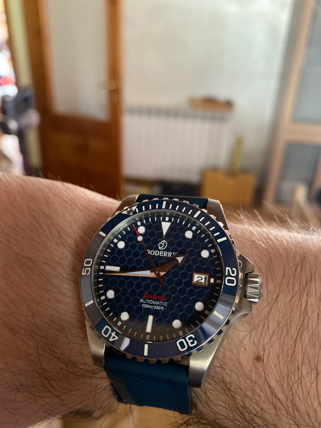 Customer photo review of SEATURTLE.OCEAN(TITANIUM) - Automatic Titanium Diver Watch | Sea Blue