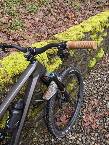 Customer photo review of Roam Wild - Rayco Artist Series Fender