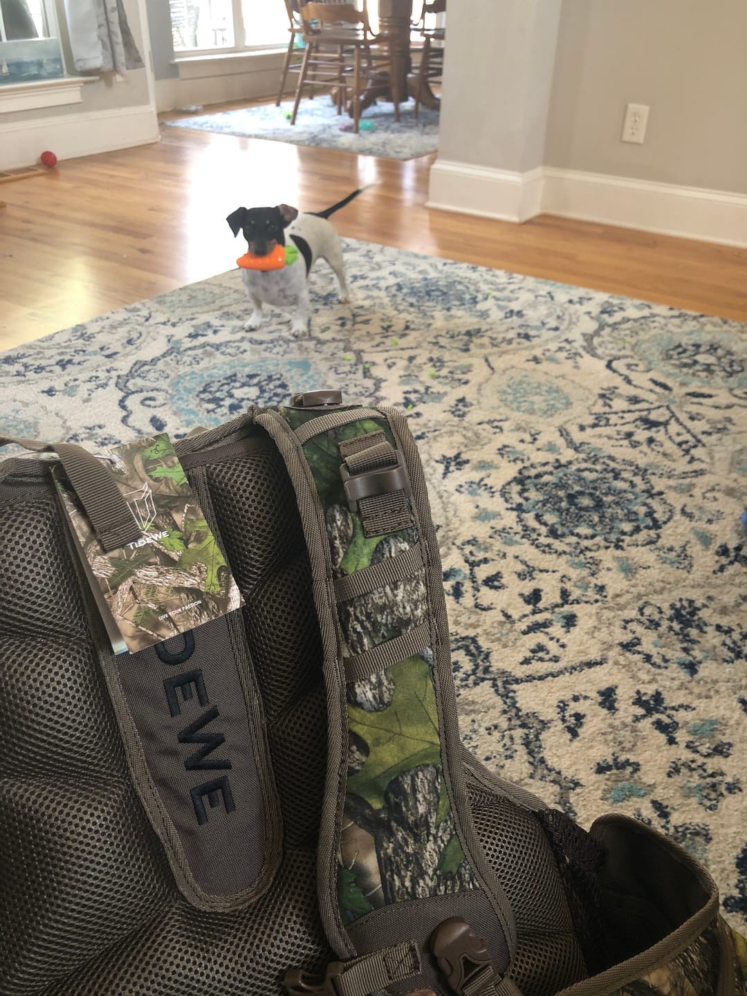 Customer photo review of Turkey Vest with Seat with Game Pouch and Kickstand