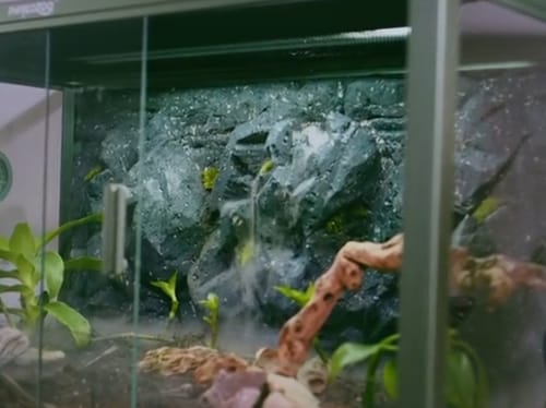 Customer photo review of REPMAC-Reptile Enclosures, Tanks & Habitats 85 Gallon 48x24x18_Earthy Green