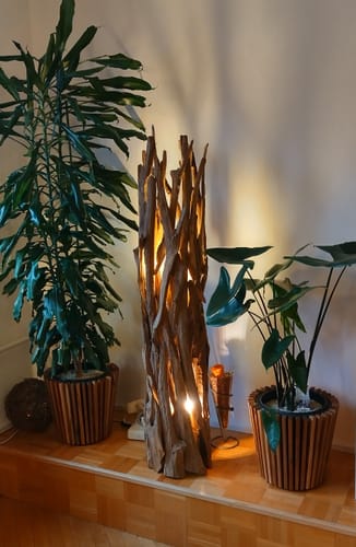 Customer photo review of Design Teak Wurzelholz Stehlampe ACE