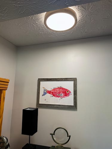Customer photo review of Scandinavian Dimmable Wood LED Flush Mount Light