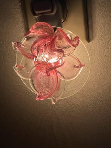 Customer photo review of Memorial Nightlight Flower with Cremains