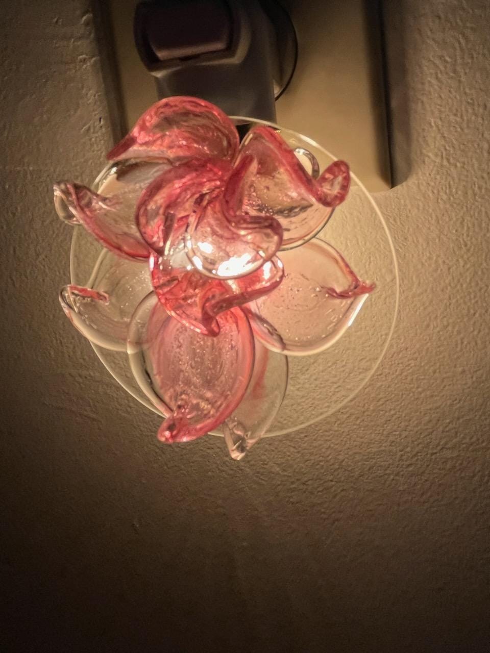 Customer photo review of Memorial Nightlight Flower with Cremation Ash