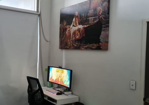 Customer photo review of The Lady of Shalott By Waterhouse