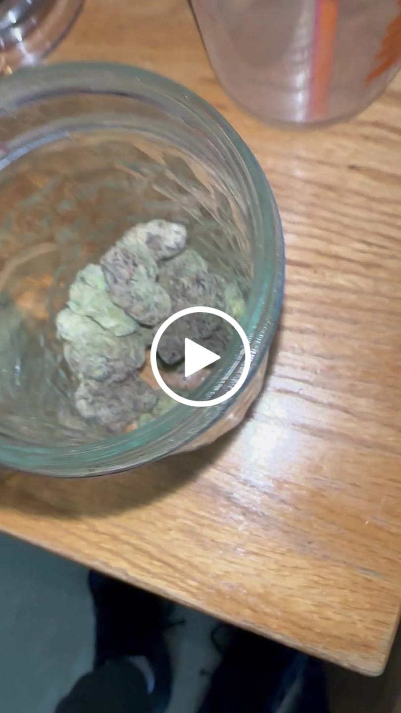 Customer video review of Jealousy - THCa Flower
