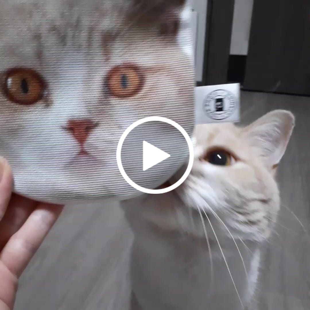 Customer video review of 好きな写真で作るオーダーメイドプリントポーチコインケース財布