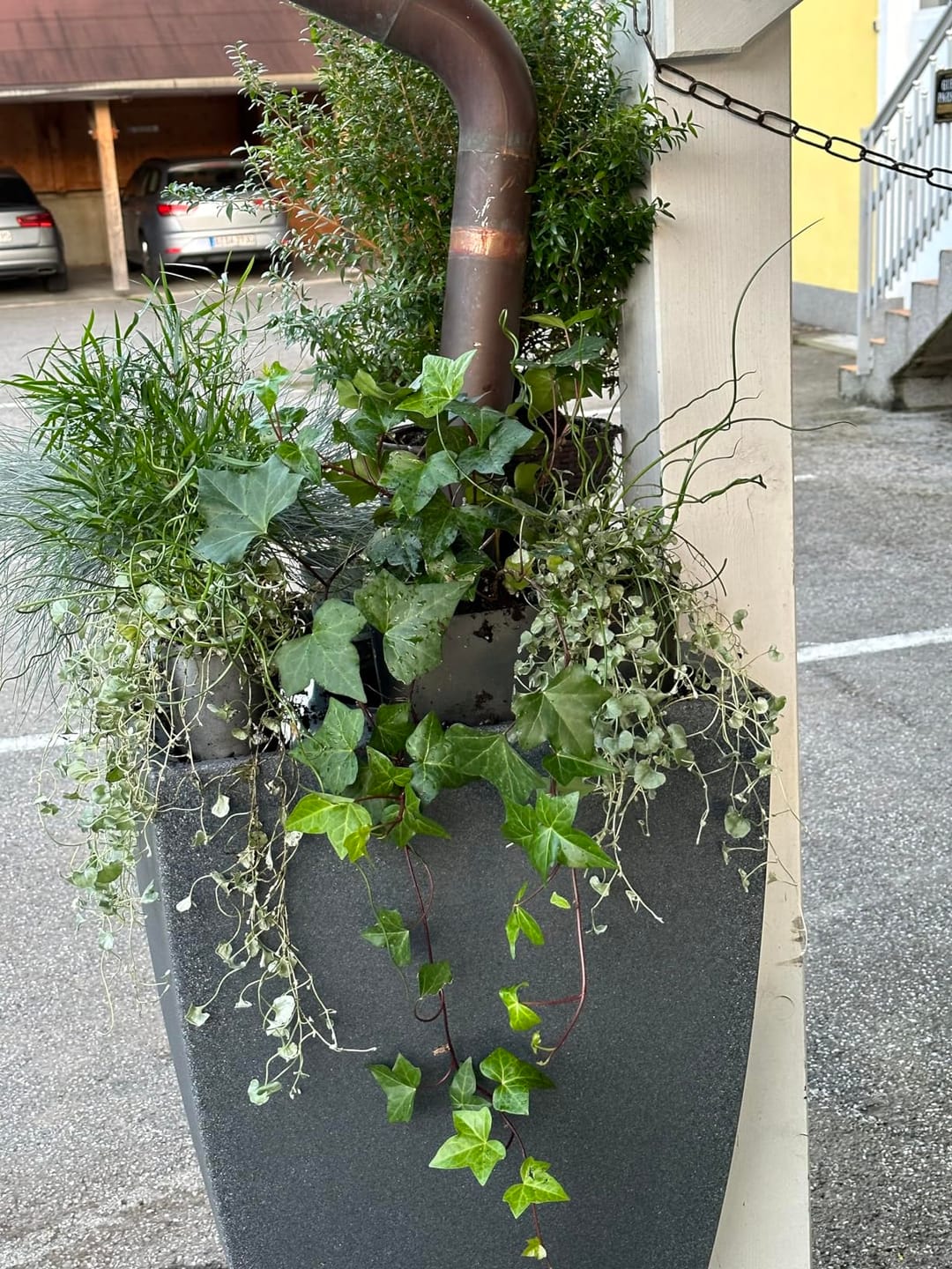Customer photo review of YourCasa Regentonne 200 Liter [PureFlow] mit Metallgewinde und Filterkorb- Regenfass Frostsicher aus Kunststoff - Regenwassertonne