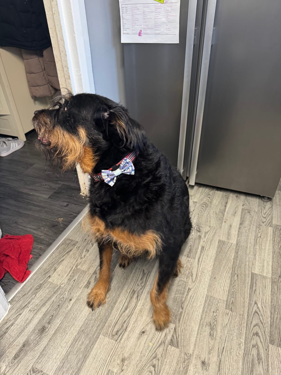 Customer photo review of Bow Tie - Winnie + Friends