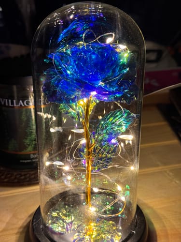 Customer photo review of Enchanted Galaxy Forever Rose™