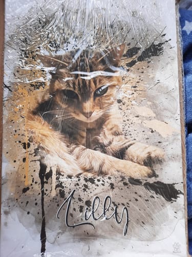 Customer photo review of Graffiti Pawtrait