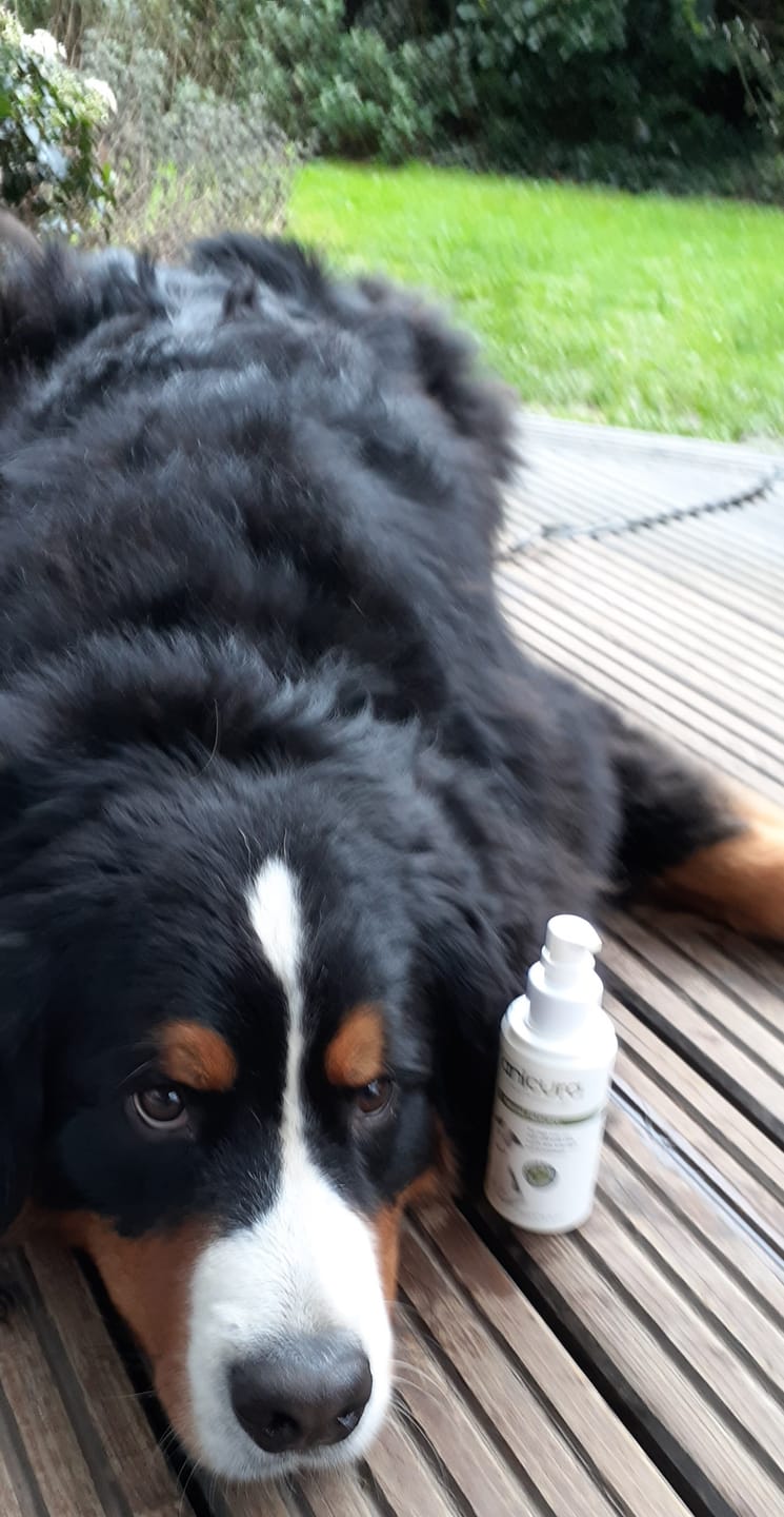 Customer photo review of Dog Gel
