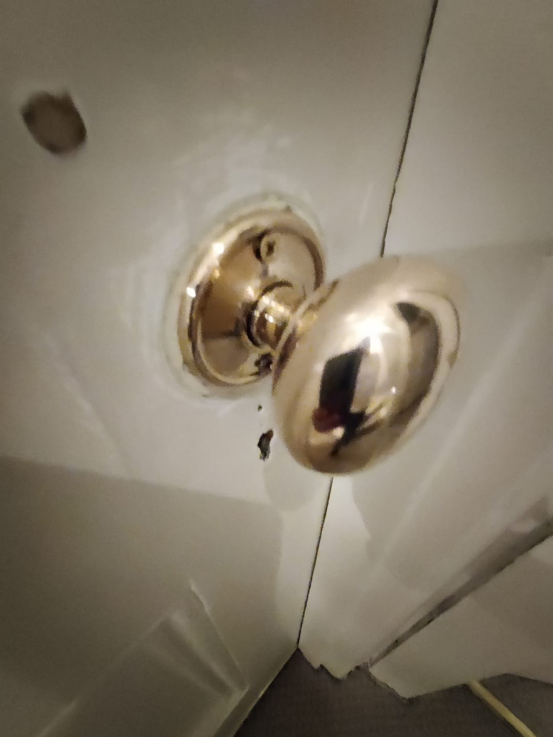 Customer photo review of Polished Brass Mushroom Mortice/Rim Knob Set