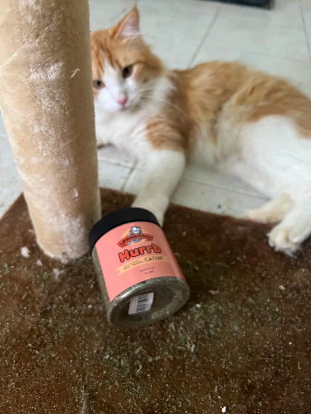 Customer photo review of Hurrb Catnip